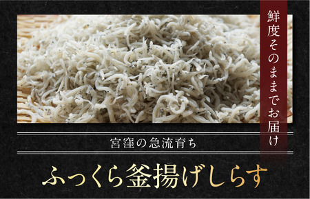 宮窪の漁師が獲った「釜揚げシラス」＜満腹セット1kg（冷凍真空包装