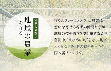 [先行予約] [数量限定] 守り人のまどんな 3kg（家庭用） [K003060] 12月上旬～12月下旬に順次発送予定