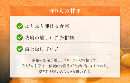 [先行予約] [数量限定] 守り人の甘平 3kg（家庭用） [K003070] 2月上旬～2月下旬に順次発送予定