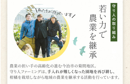 [先行予約] [数量限定] 守り人の甘平 3kg（家庭用） [K003070] 2月上旬～2月下旬に順次発送予定