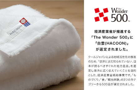 （今治タオルブランド認定）白雲 (HACOON) バスタオル 2枚セット（ブルー）【I000610BT2B】