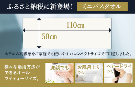 （今治タオルブランド認定）すごいタオル ミニバスタオル 4枚 （ホワイト） [I003590MBT4W]