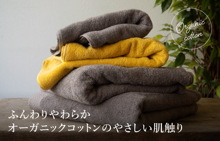 （今治タオルブランド認定品）プレミアムやわふわオーガニック ミニバスタオル 2枚セット グレージュ【I003280BT2GY】 