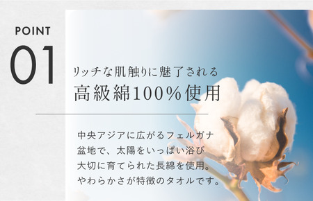 (今治タオルブランド認定)ミルトフェルガナ バスタオル ライトパープル 2枚【ID05230BT2LPU】