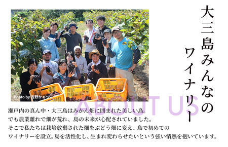 島みかんスパークリング【V003350】