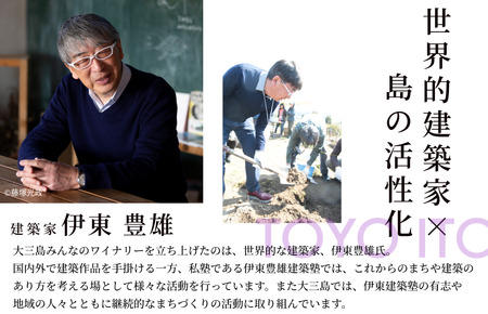 島みかんスパークリング【V003350】