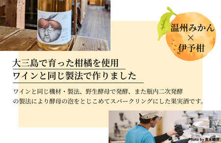 島みかんスパークリング【V003350】