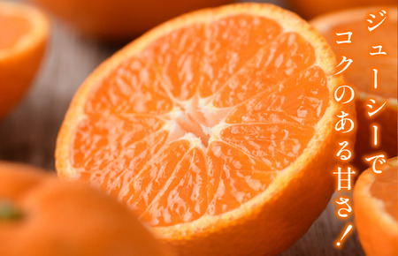 【先行予約】温州みかん（家庭用）約3kg【K003650K3】