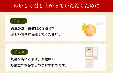 【先行予約】温州みかん（家庭用）約3kg【K003650K3】