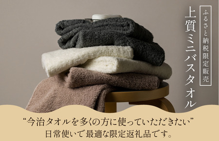 （今治タオルブランド認定） 上質ミニバスタオル 4枚セット グレーベージュ [I003990MBTGYBE] 今治タオル 渡辺パイル織物 ふるさと納税 限定 バスタオル コンパクトバスタオル バスタオル 小さめ