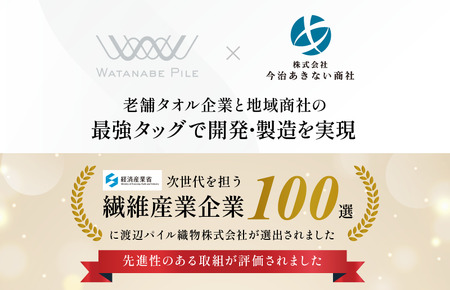 （今治タオルブランド認定） 上質ミニバスタオル 4枚セット グレーベージュ [I003990MBTGYBE] 今治タオル 渡辺パイル織物 ふるさと納税 限定 バスタオル コンパクトバスタオル バスタオル 小さめ