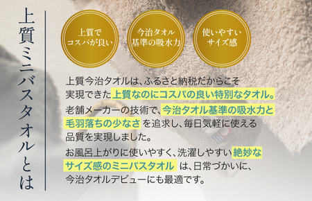 （今治タオルブランド認定） 上質ミニバスタオル 4枚セット グレーベージュ [I003990MBTGYBE] 今治タオル 渡辺パイル織物 ふるさと納税 限定 バスタオル コンパクトバスタオル バスタオル 小さめ