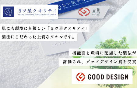 カラーパレット フェイスタオル2枚セット(ライトグリーン) タオル美術館【I001720FT2LG】