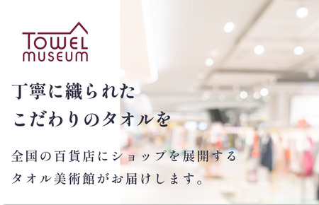 カラーパレット フェイスタオル2枚セット(ライトグリーン) タオル美術館【I001720FT2LG】