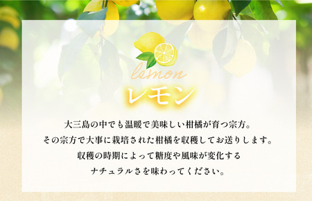 【先行予約】レモン（家庭用）約1.5kg【K003620K1.5】