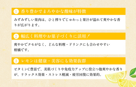 【先行予約】レモン（家庭用）約1.5kg【K003620K1.5】