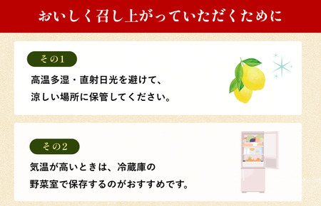 【先行予約】レモン（家庭用）約1.5kg【K003620K1.5】