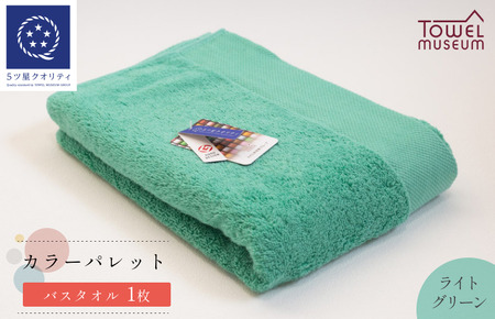 カラーパレット バスタオル1枚（ライトグリーン） タオル美術館【I001730BT1LG】