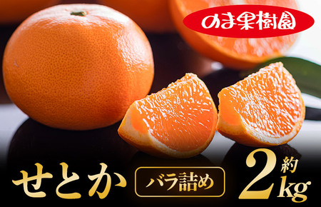 せとか家庭用（2kg） [K003710K2] 人気商品 国産 高級フルーツ 人気