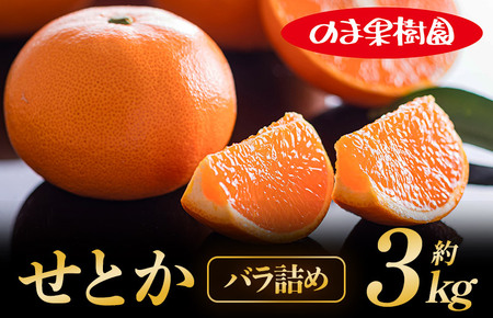 せとか家庭用（3kg） [K003710K3] 人気商品 国産 高級フルーツ 人気商品 みかん 柑橘 フルーツ 果物 乃万青果 のま果樹園 せとか 高級柑橘