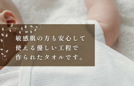 （今治タオルブランド認定）今治エコタオルフェイスタオル １枚 今治タオル 無蛍光 無発色 フェイスタオル[IA05170FT1]