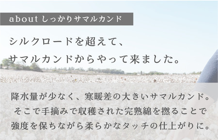 （今治タオルブランド認定）しっかりサマルカンドフェイスタオル 1枚 今治タオル ふっくら フェイスタオル [IA05290]