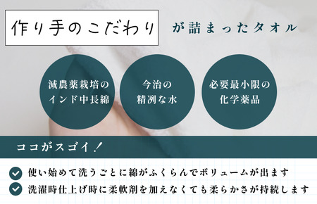 今治タオルブランド認定）今治生まれの白いタオルギフトセットA バス