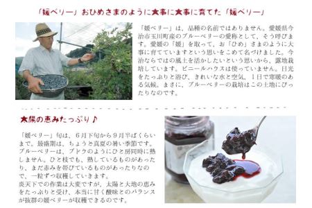 媛ベリージャムピュア(森のともだち農園玉川町) [VA00090]