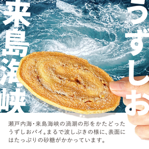 うずしおパイ（20枚母恵夢本舗） [VB00080]