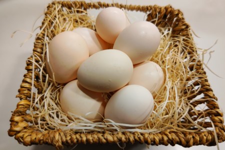 海賊卵【烏骨鶏卵】12個×６回【６か月定期便】[VE00840]