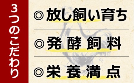 海賊卵【烏骨鶏卵】12個×６回【６か月定期便】[VE00840] | 愛媛県今治