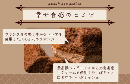 アルハンブラ　10個入り[VA00720PCS10]