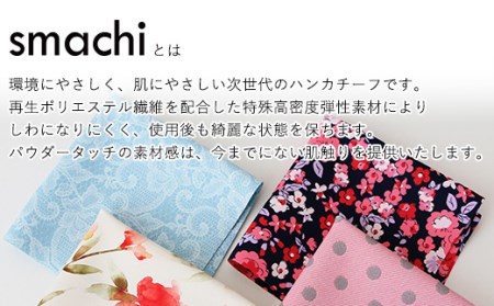 smachi(スマチ) ノンアイロンハンカチ レディース 2枚／Bセット [VB01452]
