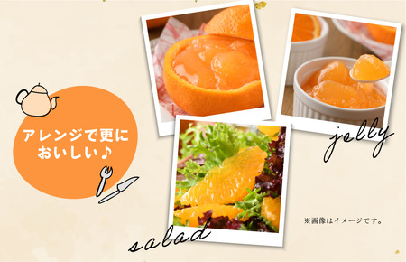 【先行予約】デコポン L~3L 18~24玉 JAおちいまばり 2月中旬~3月中旬発送【KB02510】