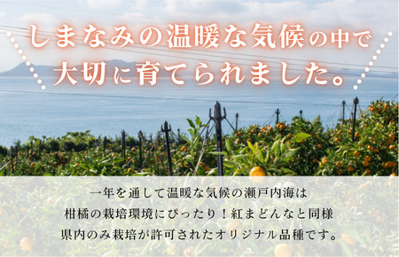 【先行予約】今治産　甘平　化粧箱 4L～2L 8～12玉　紅まどんなに並ぶ人気商品 国産 高級フルーツ　人気商品　みかん　柑橘　フルーツ　果物　JAおちいまばり [KC00640]