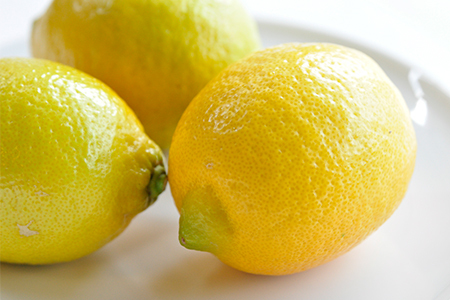 【先行予約】レモン 10kg【KC00790】