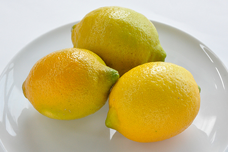 【先行予約】レモン 10kg【KC00790】