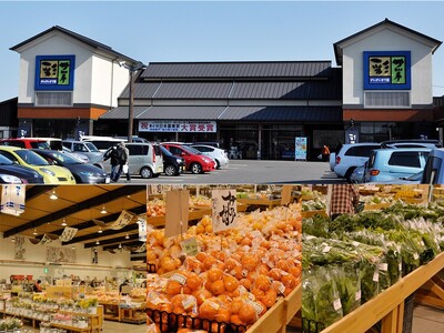 今治産　伊予牛「絹の味」サーロインステーキ　600g[VD01000]