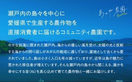 【訳あり】島のね農園のせとか(4kg)【KB01610】