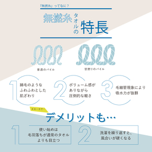 ソフ　フード付バスタオル【恐竜】　グレー　[I000680GY]