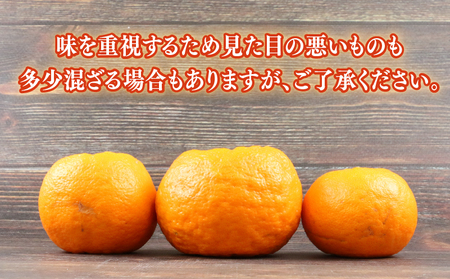 愛媛みかん ポンカン 9kg 家庭用 兵頭農園 ぽんかん ポンカン 甘い ぽんかん みかん 柑橘 みかん B010-055003