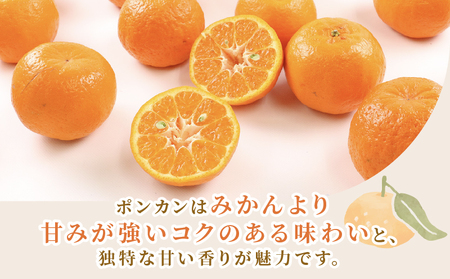 【矢野青果ポンカン】冬の柑橘 ポンカン 2~3kg B012-171008