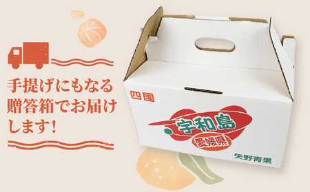 【矢野青果ポンカン】冬の柑橘 ポンカン 2~3kg B012-171008