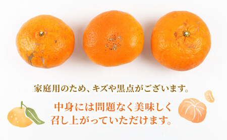 甘平 5kg 家庭用 矢野青果 甘平 B015-171009