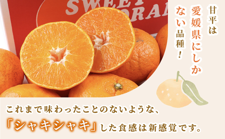 甘平 5kg 家庭用 矢野青果 甘平 B015-171009