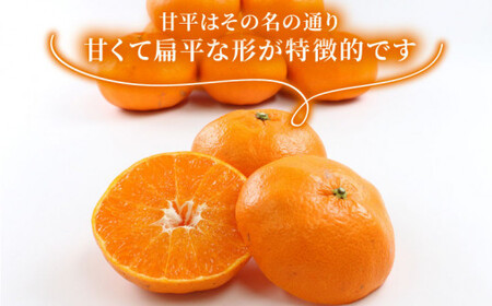 甘平 5kg 家庭用 矢野青果 甘平 B015-171009