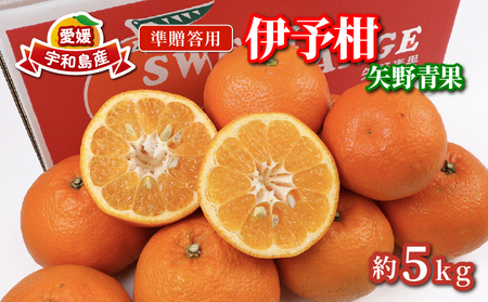 準 贈答用 伊予柑 みかん 5kg 矢野青果 みかん B012-171011