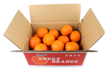 準 贈答用 伊予柑 みかん 5kg 矢野青果 みかん B012-171011