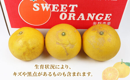 準贈答用 文旦 5kg ！矢野青果 B012-171012