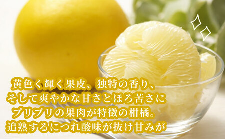 準贈答用 文旦 5kg ！矢野青果 B012-171012